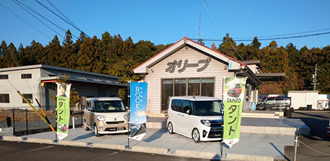 CAR PLAZA オリーブ(ナカムラ展示場)